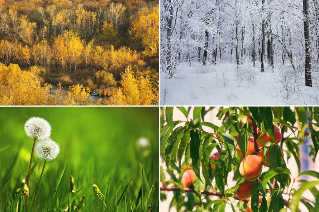 Experiencing All Four Seasons_ Destinations That Offer Year-Round Adventure